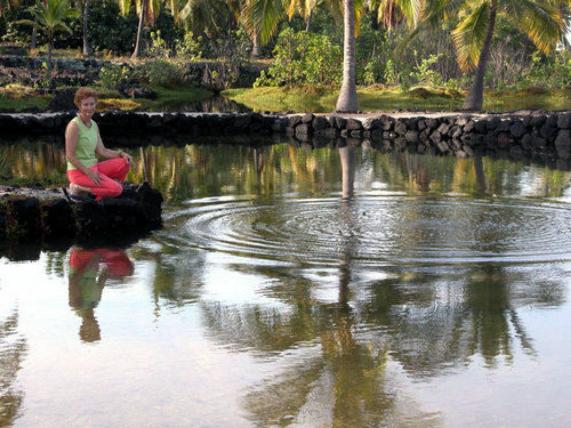 Dragonfly Ranch Bed & Breakfast & Eco-Spa Hotel Honaunau-Napoopo Buitenkant foto